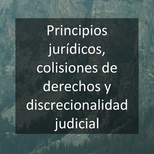 Principios jurídicos, colisiones de derechos y discrecionalidad judicial